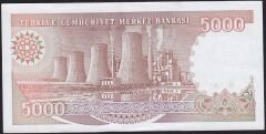 7.Emisyon 4.Tertip 5000 Lira G04 800701 Çilaltı Çil