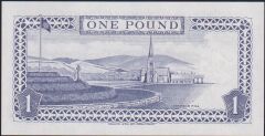 Man Adası 1 Pound 2009 Çilaltı Çil Pick 40c