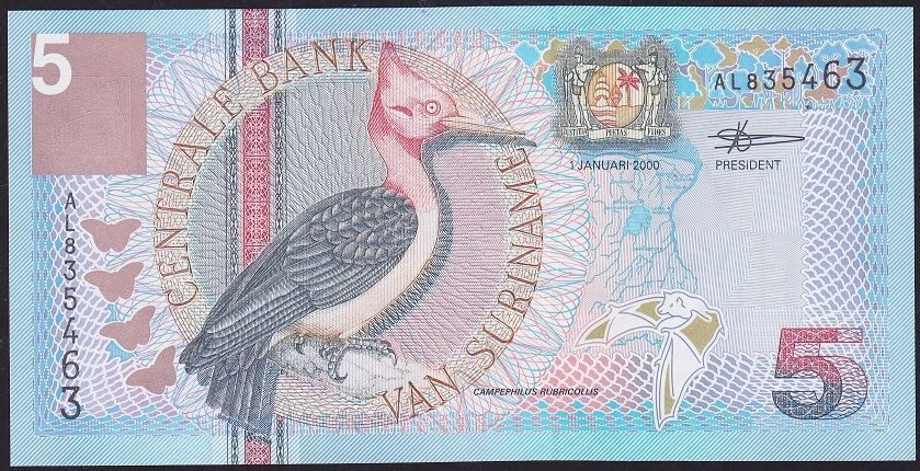 Suriname 5 Gulden 2000 Çil