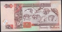 Belize 20 Dolar 2020 Çil
