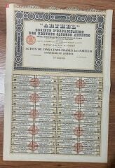 Hisse Senedi - ARTHEL1920 li Yıllar ( 48 X 32,5 cm )