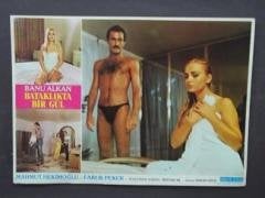 BATAKLIKTA BİR GÜL BANU ALKAN 3