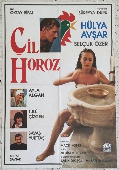 HÜLYA AVŞAR  ÇİL HOROZ - FİLM AFİŞİ