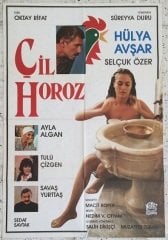 HÜLYA AVŞAR  ÇİL HOROZ - FİLM AFİŞİ