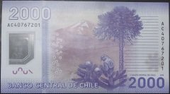 Şili 2000 Pesos 2014 Çil Pick 162d Polymer
