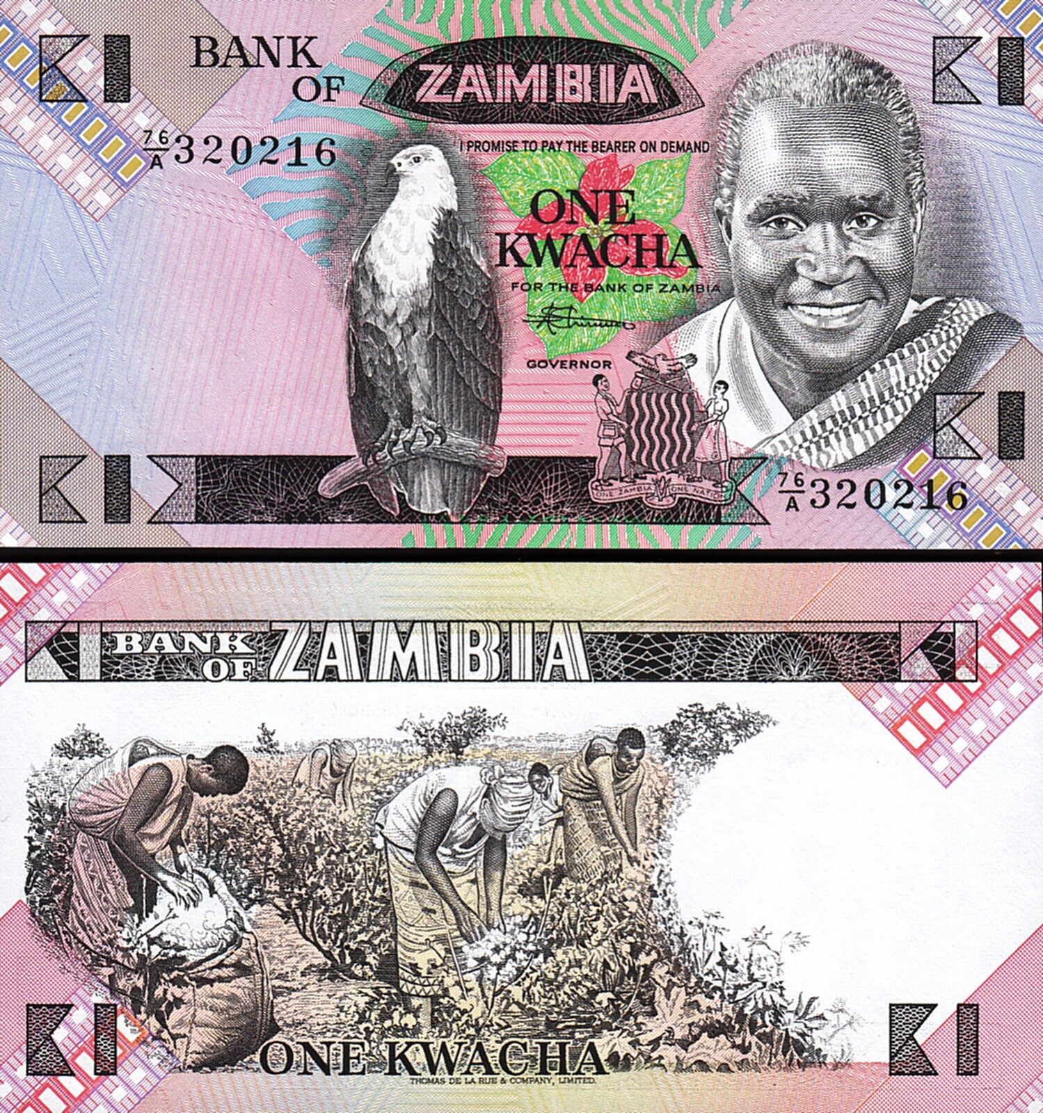 Zambia 1 Kwacha 1980 Çil Pick 23b