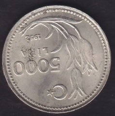 1992 YILI 5000 LİRA ÇİLALTI
