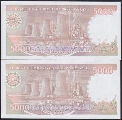 7.EMİSYON 4.TERTİP 5000 LİRA I01 574207 -208 SERİ TAKİPLİ 2 ADET ÇİL