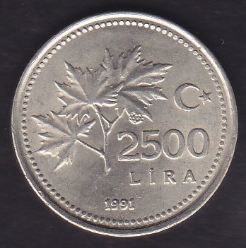 1991 YILI 2500 LİRA ÇİLALTI
