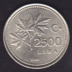 1991 YILI 2500 LİRA ÇİLALTI
