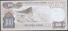 6.Emisyon 2.Tertip 100 Lira G15 486105 Çilaltı Çil