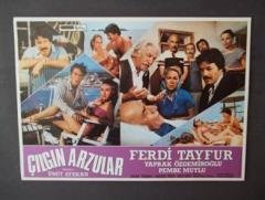 ÇILGIN ARZULAR FERDİ TAYFUR 12