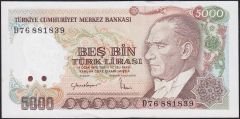 7.Emisyon 2.Tertip 5000 Lira D76 881839 Çilaltı