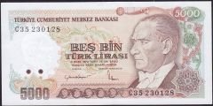 7.Emisyon 2.Tertip 5000 Lira C35 230128 Çilaltı Çil