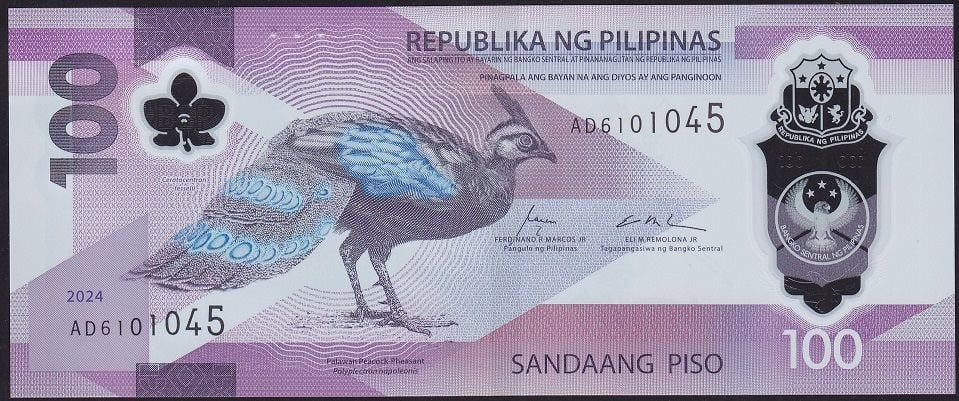Filipinler 100 Piso 2024 Çil Polimer