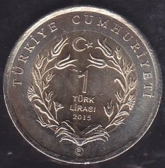 2015 TARİHLİ 1 LİRA ANKARA KEDİSİ HATIRA PARASI - KARARMA VAR