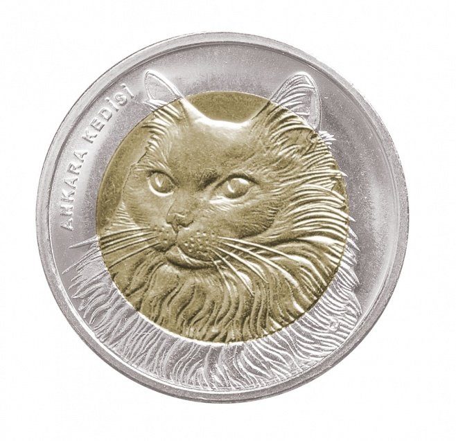 2010 TARİHLİ 1 LİRA ANKARA KEDİSİ BİMETAL HATIRA PARASI - ÇİL