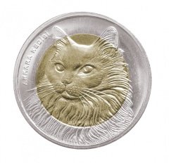 2010 TARİHLİ 1 LİRA ANKARA KEDİSİ BİMETAL HATIRA PARASI - ÇİL