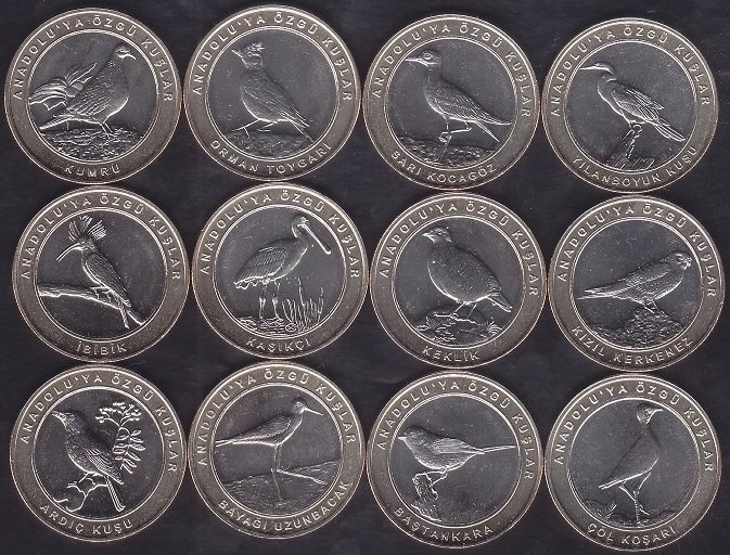 2019 Yılı 1 Kuruş Anadoluya Özgü Kuşlar Seti Çil Bimetal Çerçeve Sarı