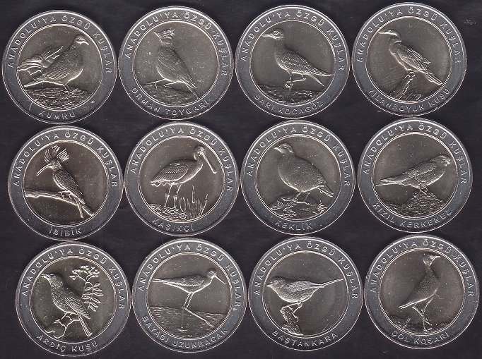 2019 Yılı 1 Kuruş Anadoluya Özgü Kuşlar Seti Çil Bimetal Göbek Sarı