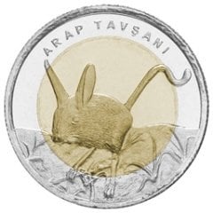 2016 TARİHLİ 1 LİRA ARAP TAVŞANI BİMETAL HATIRA PARASI - ÇİL