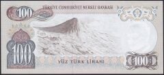 6.Emisyon 3.Tertip 100 Lira J22 230607 Çilaltı Çil