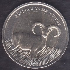 2015 Tarihli 1 Lira Anadolu Yaban Koyunu Bimetal Hatıra Parası Çilaltı Çil Hafif Kararma Var