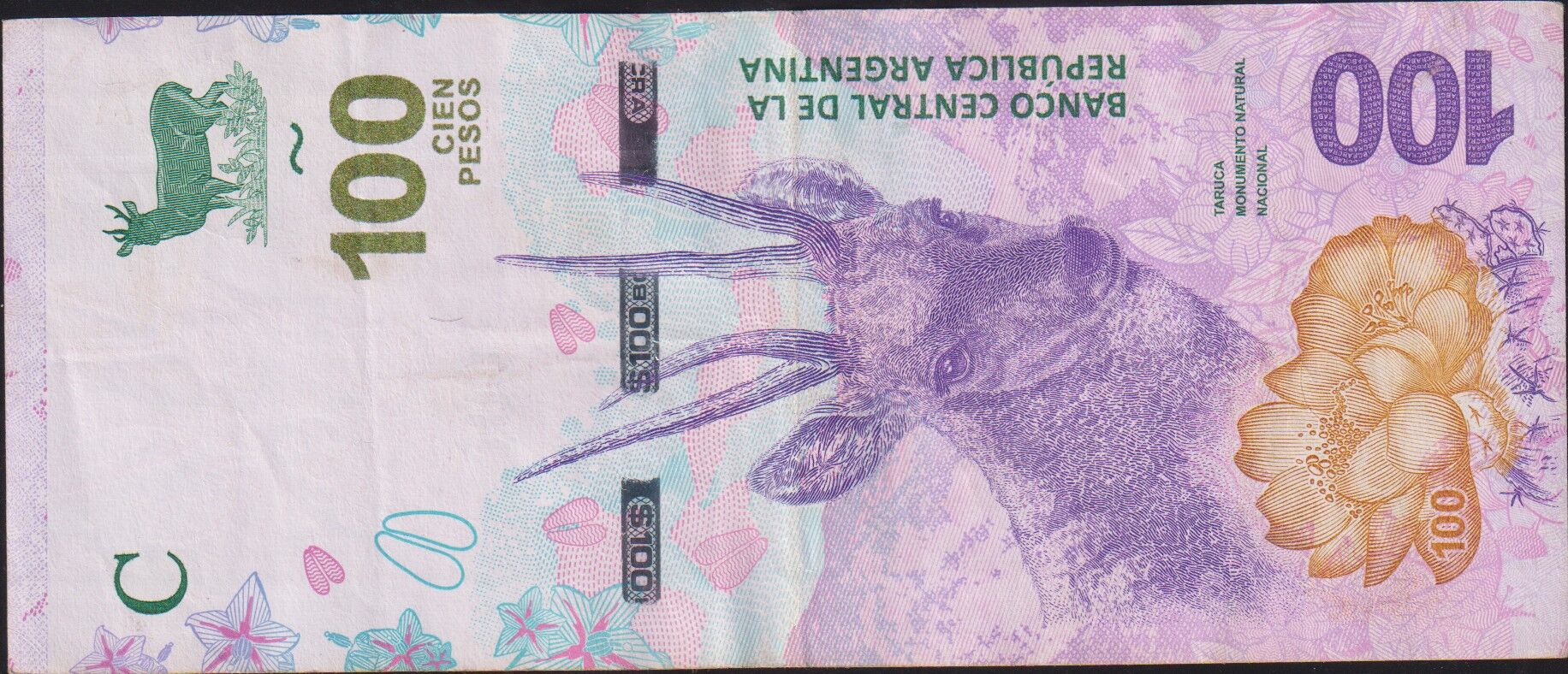 Arjantin 100 Pesos 2018 Çok Temiz+ Pick 363A