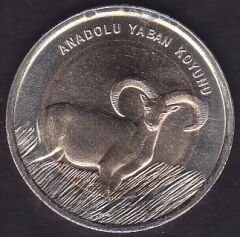2015 Yılı 1 Lira Anadolu Yaban Koyunu Hatıra Para Kararma var