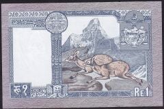Nepal 1 Rupee 1974 - 1991 Çilaltı Çil Pick 22/d