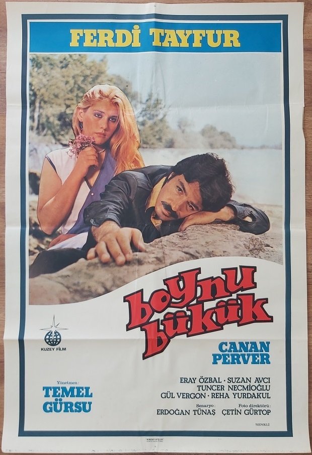 Ferdi Tayfur - Canan Perver - Boynu Bükük - Film Afişi