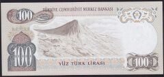 6.Emisyon 1.Tertip 100 Lira E52 003335 Çilaltı Çil