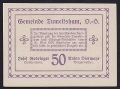 AVUSTURYA 50 HELLER NOTGELD 1920 ÇİL