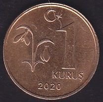 2020 Yılı 1 Kuruş