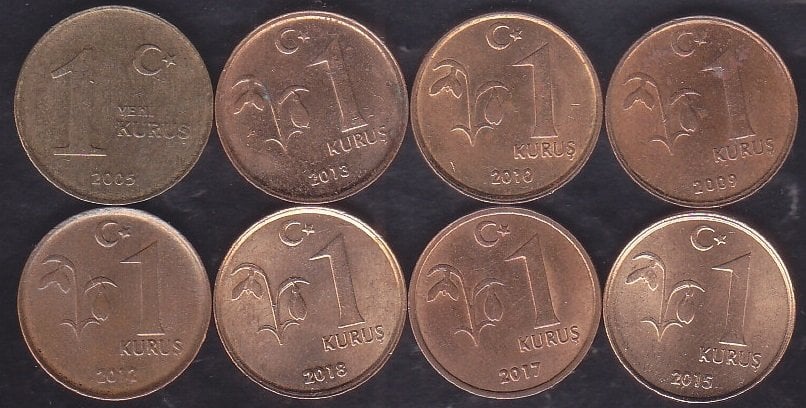 8 Farklı Tarih 1 Kuruş Lotu
