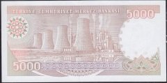7.Emisyon 4.Tertip 5000 Lira I59 728655 Çil
