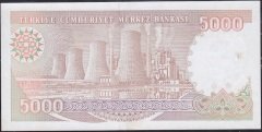 7.Emisyon 4.Tertip 5000 Lira I40 116586 Çilaltı Çil