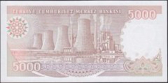 7.Emisyon 4.Tertip 5000 Lira I33 898944 Çil