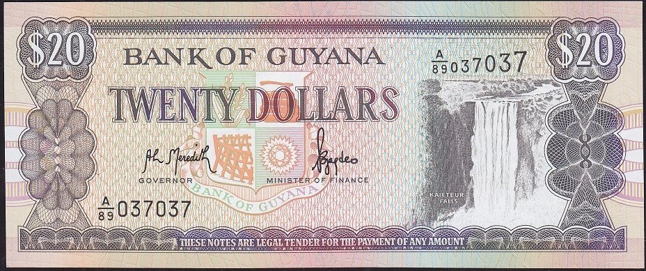 Guyana 20 Dolar 1996 Çil Pick30a