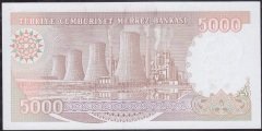 7.Emisyon 4.Tertip 5000 Lira I30 186063 Çil