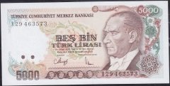 7.Emisyon 4.Tertip 5000 Lira I29 463573 Çil