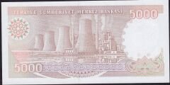 7.Emisyon 4.Tertip 5000 Lira I37 934476 Çil