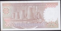 7.Emisyon 4.Tertip 5000 Lira I01 929083 Çilaltı Çil