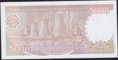 7.Emisyon 4.Tertip 5000 Lira I01 574302 Çil