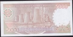 7.Emisyon 4.Tertip 5000 Lira I01 574302 Çil