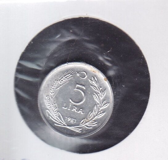 1981 Yılı 5 Lira