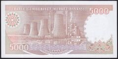 7.Emisyon 4.Tertip 5000 Lira H35 840009 Çil