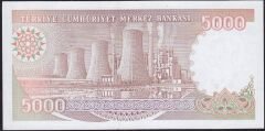 7.Emisyon 4.Tertip 5000 Lira G50 597379 Çil