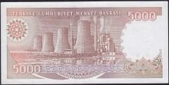 7.Emisyon 4.Tertip 5000 Lira G04 800698 Çilaltı Çil