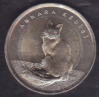 2015 TARİHLİ 1 LİRA ANKARA KEDİSİ HATIRA PARASI - KARARMA VAR